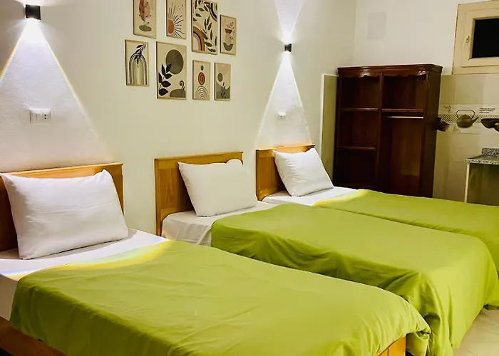 Szálloda Shark House 4*